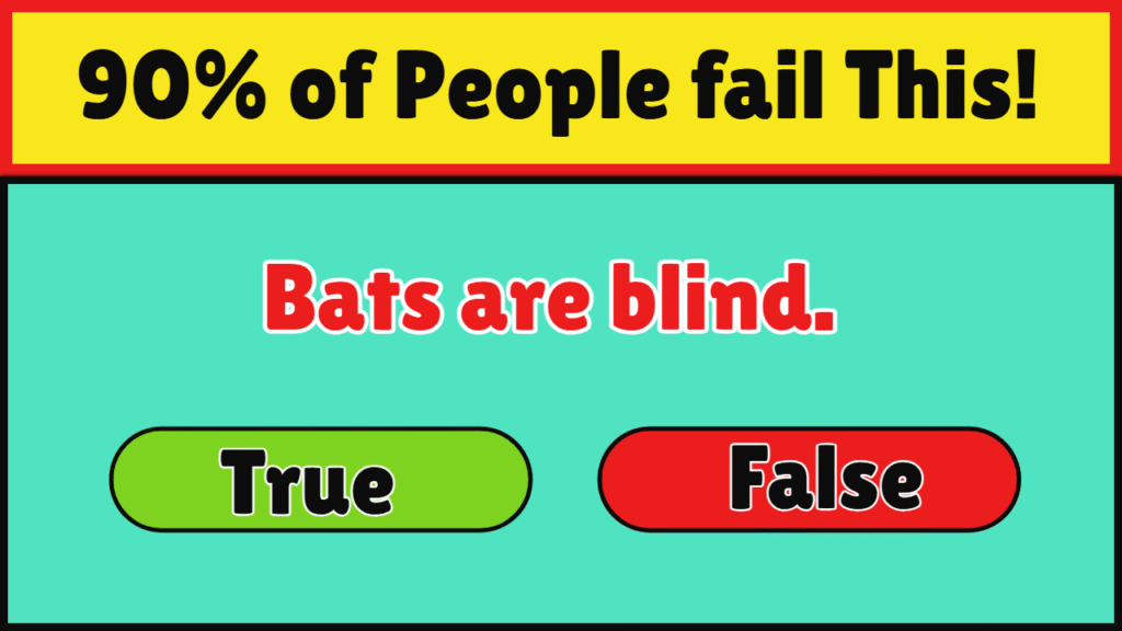 true-or-false