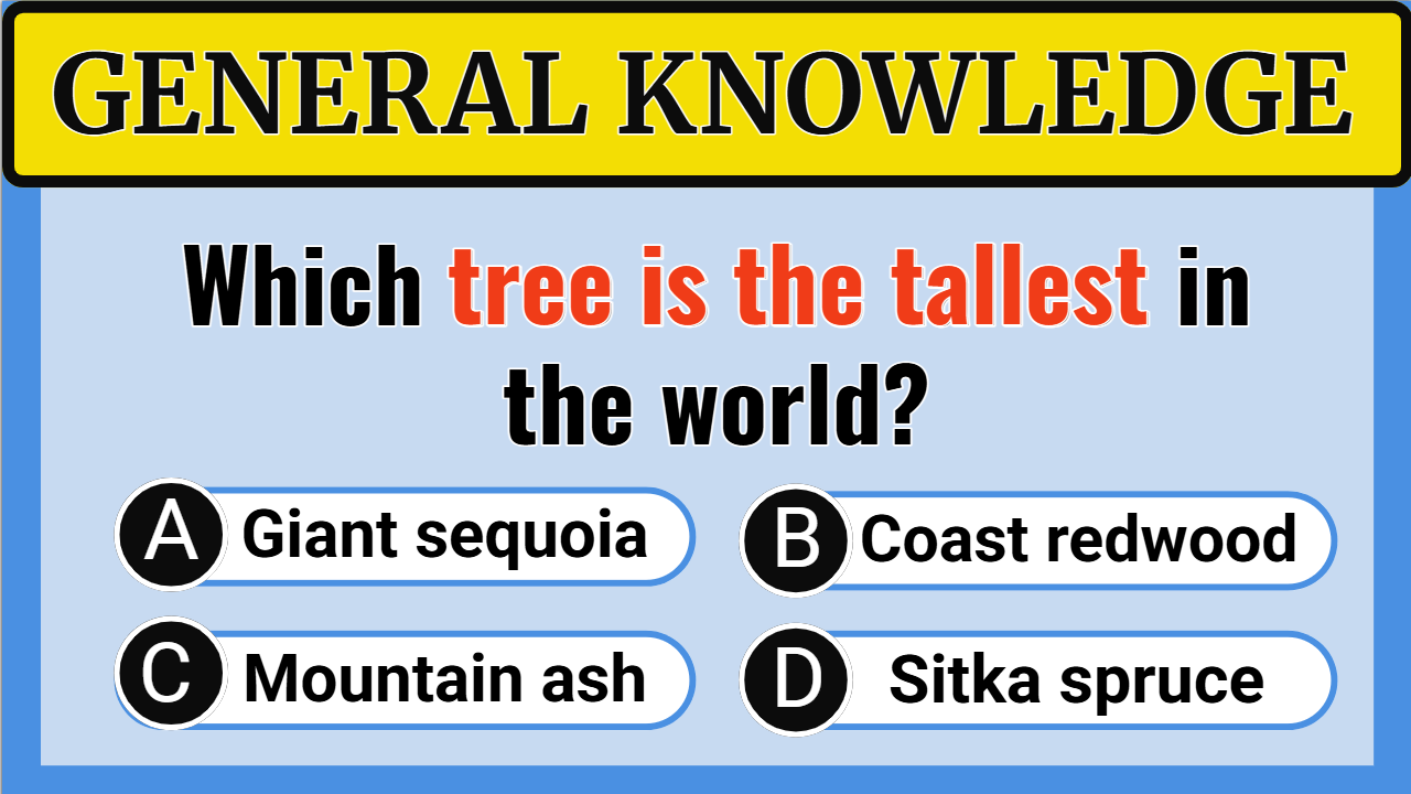 General Knowledge Questions and Answers